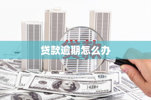 苍南贷款逾期怎么办