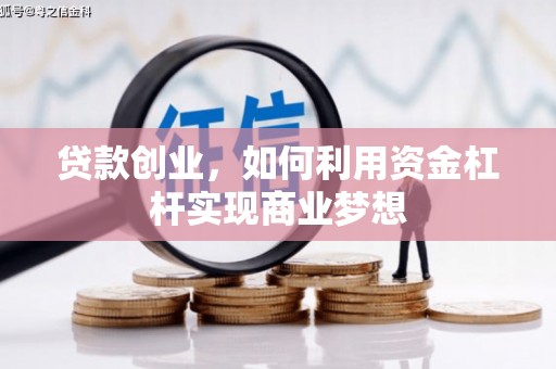 苍南贷款创业，如何利用资金杠杆实现商业梦想