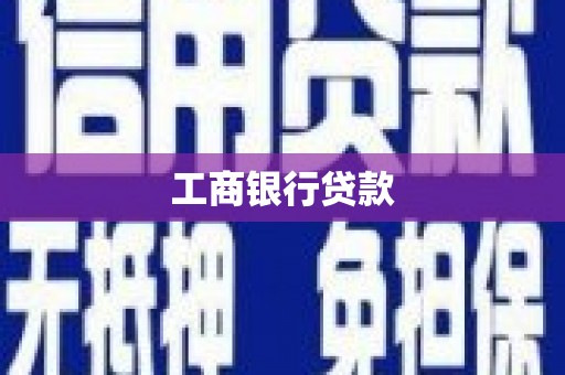 苍南工商银行贷款