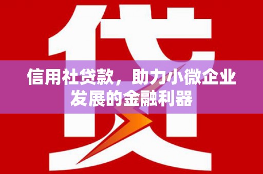 苍南信用社贷款，助力小微企业发展的金融利器