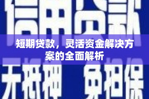 苍南短期贷款，灵活资金解决方案的全面解析