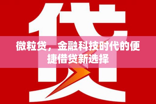 苍南微粒贷，金融科技时代的便捷借贷新选择