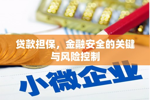 苍南贷款担保，金融安全的关键与风险控制