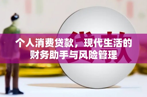 苍南个人消费贷款，现代生活的财务助手与风险管理