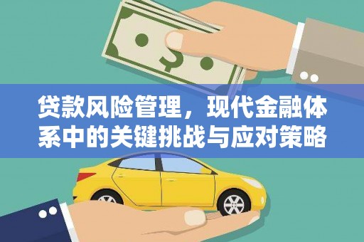 苍南贷款风险管理，现代金融体系中的关键挑战与应对策略