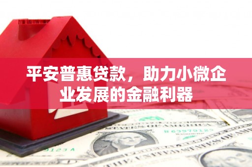 苍南平安普惠贷款，助力小微企业发展的金融利器