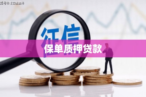 苍南保单质押贷款
