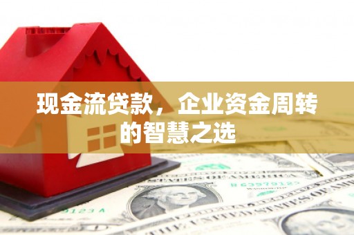 苍南现金流贷款，企业资金周转的智慧之选