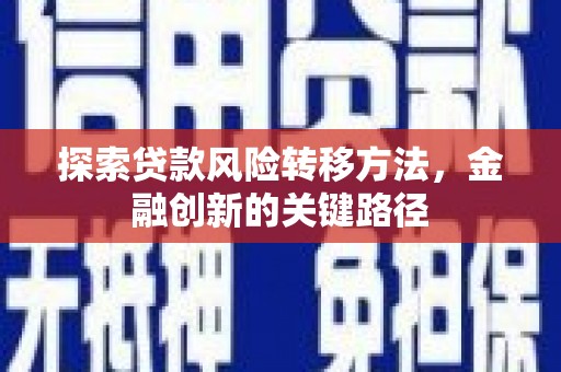 苍南探索贷款风险转移方法，金融创新的关键路径