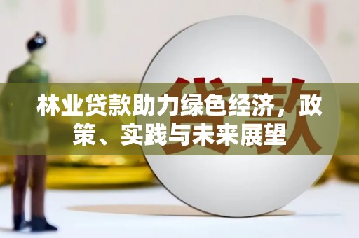 苍南林业贷款助力绿色经济，政策、实践与未来展望