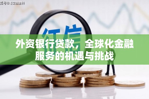 苍南外资银行贷款，全球化金融服务的机遇与挑战