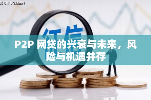 苍南P2P 网贷的兴衰与未来，风险与机遇并存