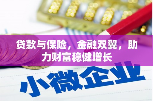 苍南贷款与保险，金融双翼，助力财富稳健增长