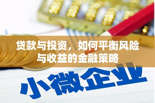 苍南贷款与投资，如何平衡风险与收益的金融策略