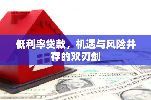 苍南低利率贷款，机遇与风险并存的双刃剑