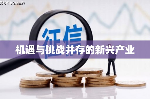 苍南机遇与挑战并存的新兴产业