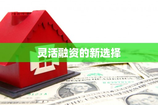 苍南灵活融资的新选择