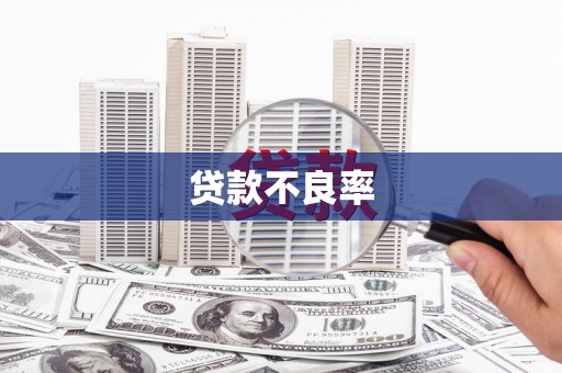 苍南贷款不良率