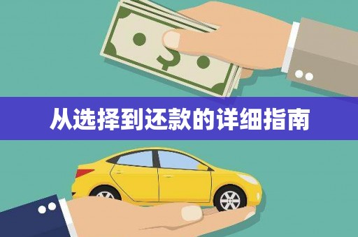 苍南从选择到还款的详细指南