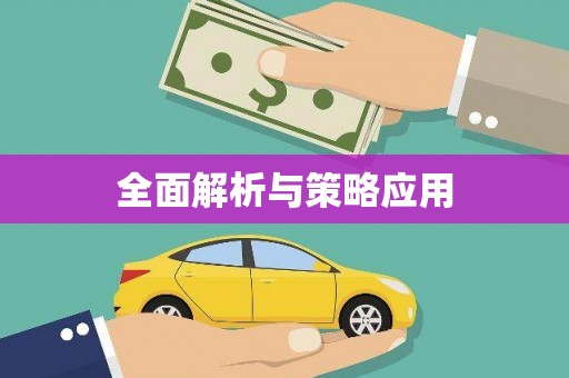 苍南全面解析与策略应用