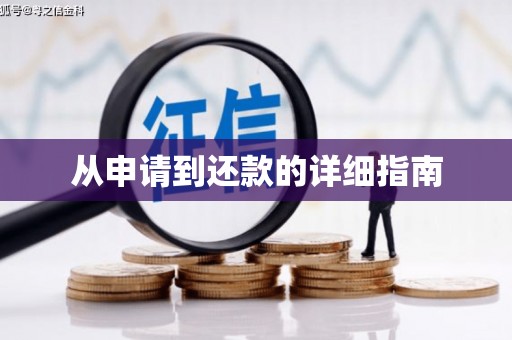 苍南从申请到还款的详细指南