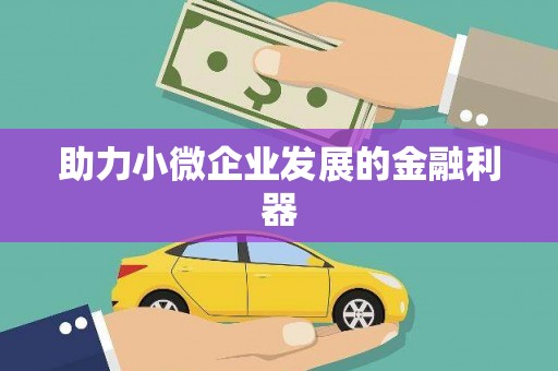 苍南助力小微企业发展的金融利器