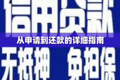 苍南从申请到还款的详细指南
