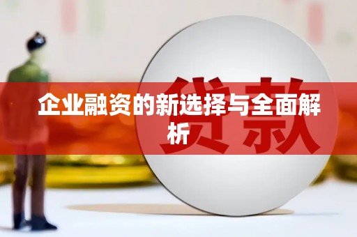 苍南企业融资的新选择与全面解析