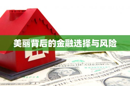 苍南美丽背后的金融选择与风险