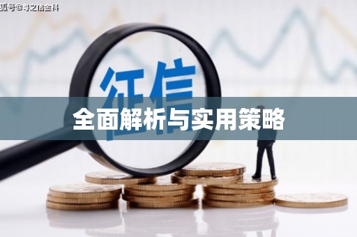 苍南全面解析与实用策略