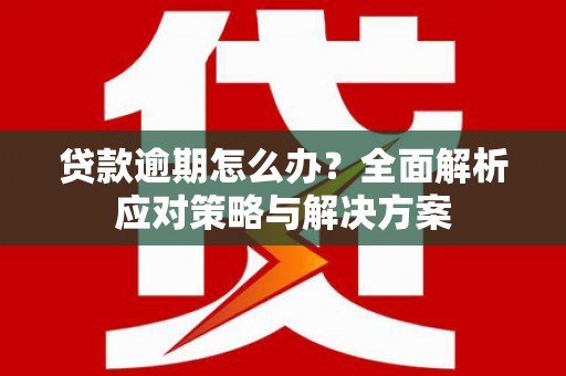 苍南贷款逾期怎么办？全面解析应对策略与解决方案