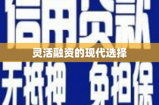苍南灵活融资的现代选择