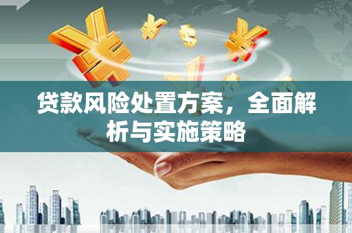 苍南贷款风险处置方案，全面解析与实施策略