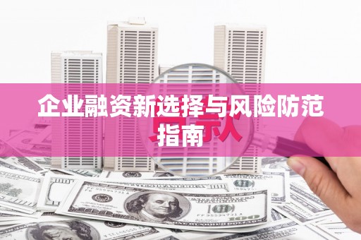 苍南企业融资新选择与风险防范指南