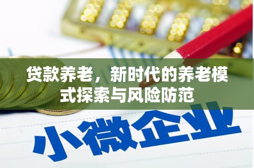 苍南贷款养老，新时代的养老模式探索与风险防范
