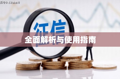 苍南全面解析与使用指南