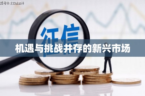 苍南机遇与挑战并存的新兴市场