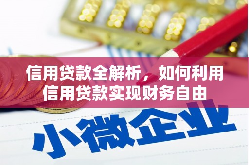 苍南信用贷款全解析，如何利用信用贷款实现财务自由