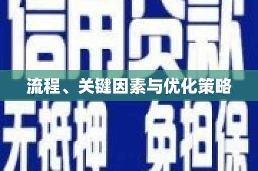 苍南流程、关键因素与优化策略