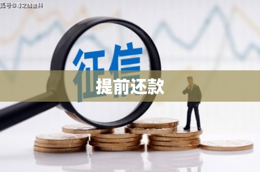 苍南提前还款