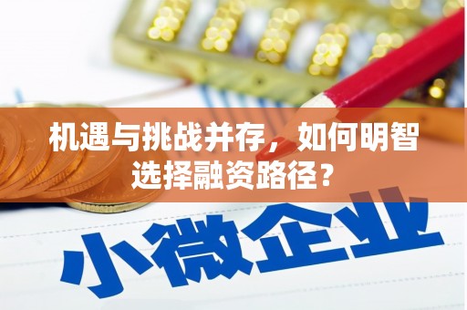 苍南机遇与挑战并存，如何明智选择融资路径？