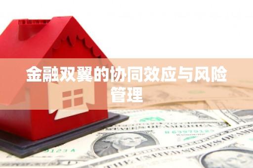 苍南金融双翼的协同效应与风险管理
