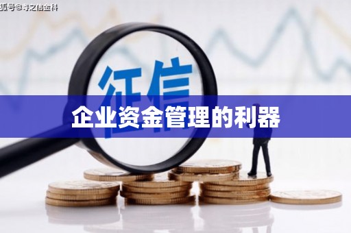 苍南企业资金管理的利器