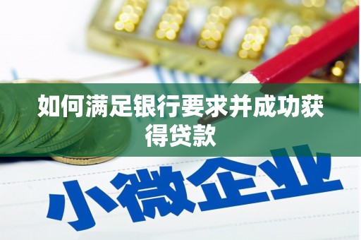 苍南如何满足银行要求并成功获得贷款