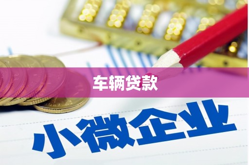 苍南车辆贷款