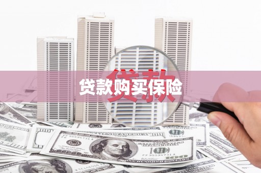 苍南贷款购买保险