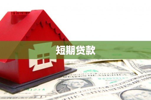 苍南短期贷款