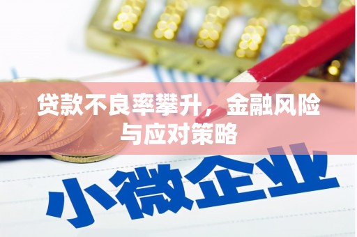 苍南贷款不良率攀升，金融风险与应对策略