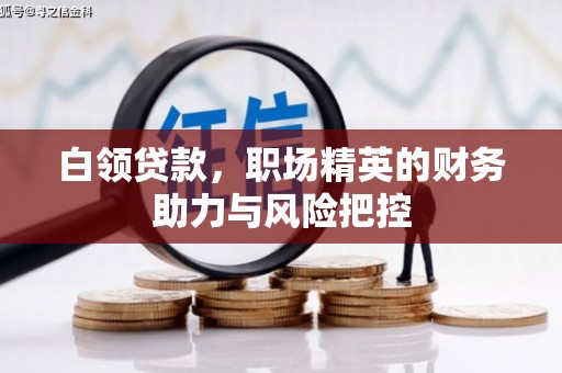 苍南白领贷款,职场精英的财务助力与风险把控 苍南白领贷款,职场精英的财务助力与风险把控