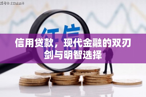 苍南信用贷款，现代金融的双刃剑与明智选择